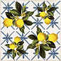 Giardino Bianco Mix Luc 20x20 Sant Agostino