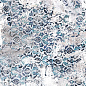 PF60012583 Art Walls Fresco Nat R 60x120 Flaviker