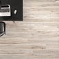 Barkwood White 20x120 Sant Agostino