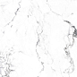 CR4006-A Borghini Silver Carving 60x60 Arcadia Ceramica