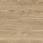 D120250M Walnut Light матовый 600x1200x9.5 Delacora