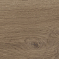 41729 Bloom Cognac SP/24x151x0,9/R 24x151 Peronda