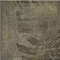 Tahiti Natural 20x20 Mainzu