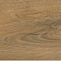 ZA 0021 ZAR 60х15х08 Eurotile Ceramica
