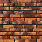 Декоративный кирпич Плоскость Орлеан 490 25-28x7-8x1,7 Leonardo Stone