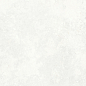 P8AA0YBAA0A1SO Rio White Polished Rect 60x120 Goldis Tile
