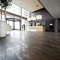 Metal Titanium Natural 59.55x119.3 Apavisa Porcelanico