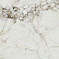 A038962 Oxyd Jewel Pol Rect 60x120 Ape Ceramica