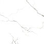 AB 1125G Statiario Titan gloss 600x600 Absolut Gres