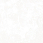 Royal Swiss White белый матовый 60х60 Laparet