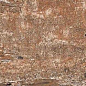 Kiwi Redroot Mat 20x120 Alpas Euro
