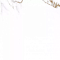 Carrara Bronze Rect матовая 60x60 Prime Ceramics