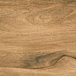 Avellano Brown / Авеллано Коричневый SR 120x19.5 Idalgo (Идальго)