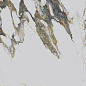 PR219 Fantasy Mix polished 600х1200х9 PrimaVera