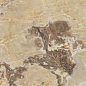 765412 Onyx&More Golden Blend Glossy Ret 80x180 Casa Dolce Casa