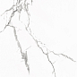 Statuario Venato Polished 60x120 Realistik
