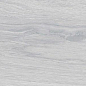 WD05 Branch White 20x80 PrimaVera