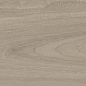 SG526920R Монтиони коричневый светлый матовый обрезной 20х119,5 Kerama Marazzi
