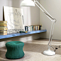Eko Ragno Marazzi