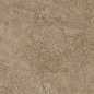 NTTHS99959D Axion Feron Taupe 60x120 NT Ceramic фото в миниатюре 8