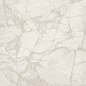 PF60015277 Tarsia Bianco Dolomiti Lux 3D Rett 120x120 Versace (Gardenia Orchidea)