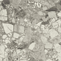 610015000653 Forte dei Marmi Ceppo Apuano Pearl 80x80 Atlas Concorde Russia
