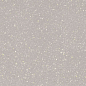 Moondust Silver Polpoler 59.8x59.8 Paradyz