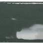 002484 Artisan Green Bottle 5x15 Monopole Ceramica