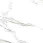 60120CLM15P Calacatta Montreal 60x120 LCM