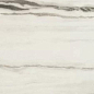 755873 Prexious White Fantasy Matte Ret 30x60 Rex Ceramiche