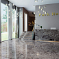 Oasis Staro