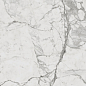 610010001410 Charme Evo Statuario Nat Ret 60х120 Italon