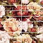 Бордюр Peony 4х25 Laparet