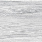 ENWD1024MT20120 Foresta Bianco Matt 120x20x0.9 Ennface