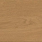 A8X7 Entice Copper Oak Natural R10 18,5x150 Atlas Concorde