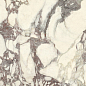 PL612671 Calacatta Viola Luc 60x120 Ariostea