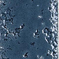 A041175 Pukka Whale Blue 6,4x26 CARMEN