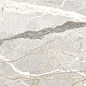 PF60017241 Supreme Hedonism Silver Roots Lux 3D R 60x120 Flaviker