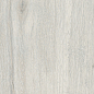 DW01 Dream Wood Неполированный 30.6x60.9x8 Estima фото в миниатюре 2