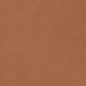 A4TL Prism Caramel 50x120 Atlas Concorde