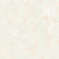MOG302 Light Beige Полированный Рект. 60x120 Onlygres
