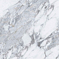 BHW-0045 Arabescato Pro full body polished (gold) 60x120 Basconi Home