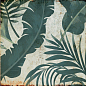TR3333 Tropic 33х33 Serapool фото в миниатюре 16