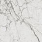 610010001410 Charme Evo Statuario Nat Ret 60х120 Italon