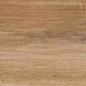 7930138703746 Apricot Honey 20x120 Eurotile Ceramica