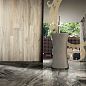 Prexious Rex Ceramiche