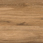 Naturwood Brandy 60x120 Keraben