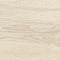 39247 Grow Maple SP/24X151X0,9/R 24x151 Peronda фото в миниатюре 24