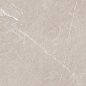 Pietra Grigio светло-коричневый матовый карвинг 60х60 Laparet