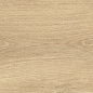 41726 Bloom Honey SP/24x151x0,9/R 24x151 Peronda